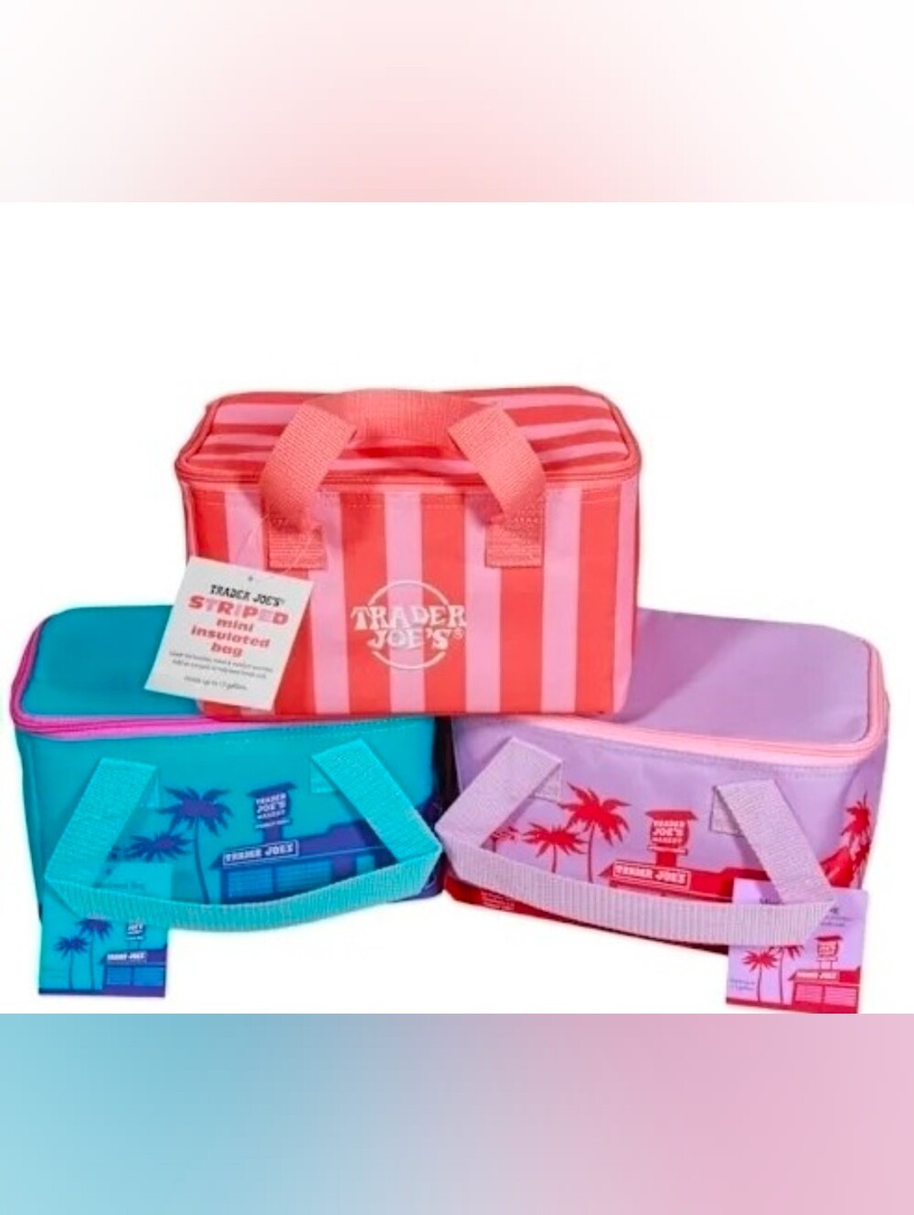 New Trader Joes Striped Insulated Lunch Bag Set
